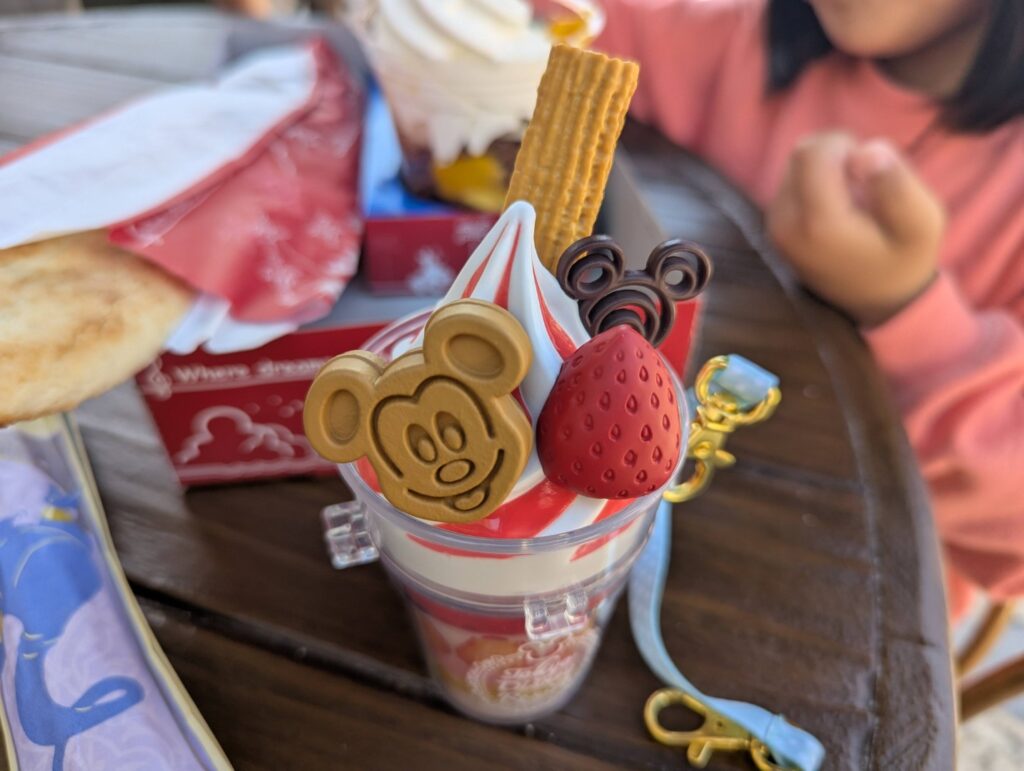 4歳児とTDSに行ってきたよ