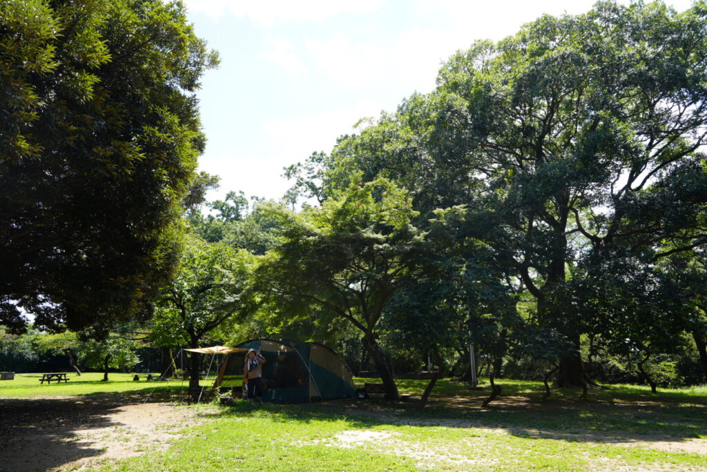 さぎやま記念公園 キャンプ