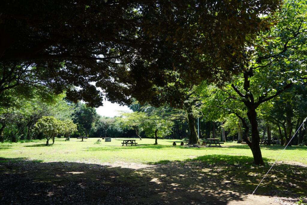 さぎやま記念公園 キャンプ