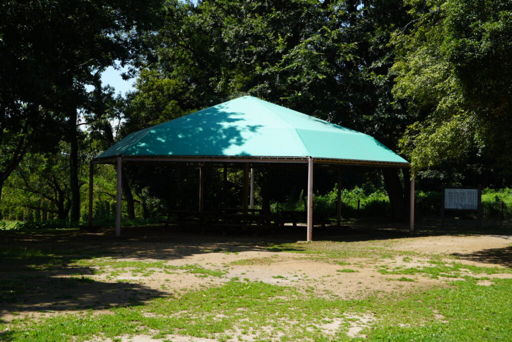 さぎやま記念公園 キャンプ