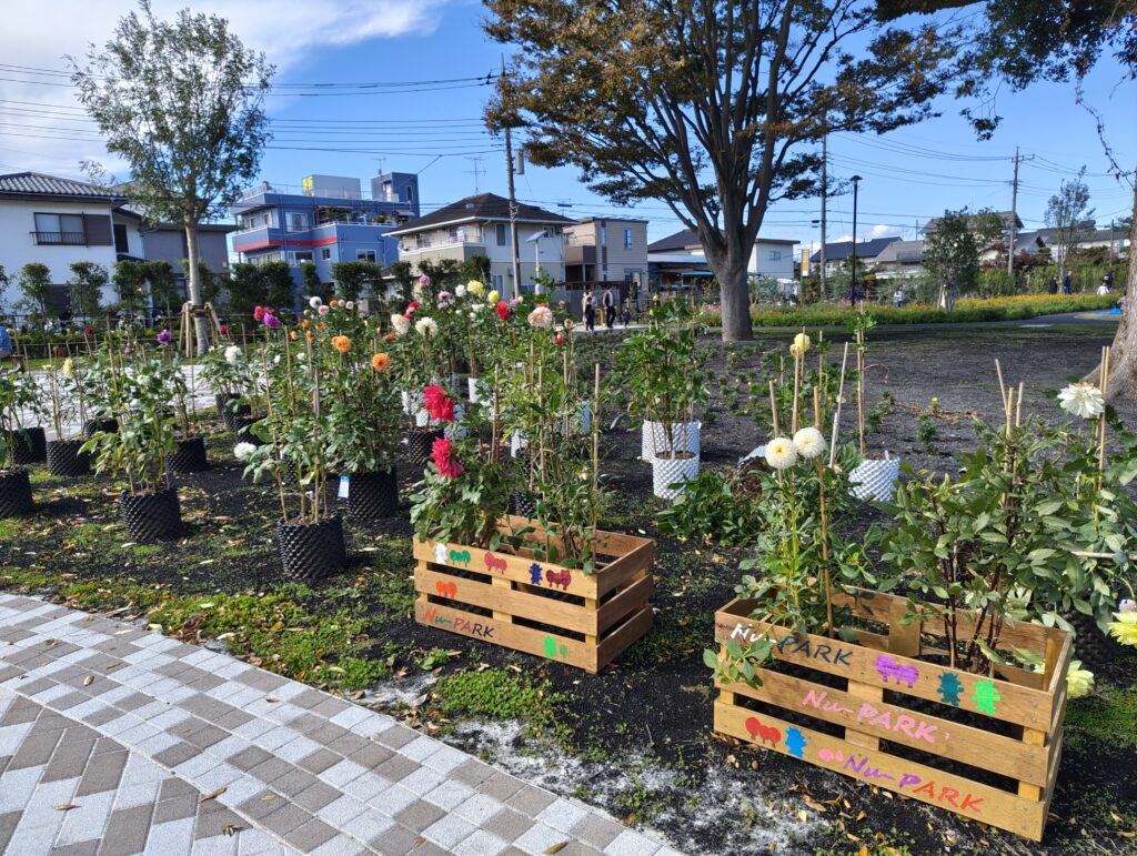 三室中央公園 （ヌゥパーク）で遊んできたよ【緑区】