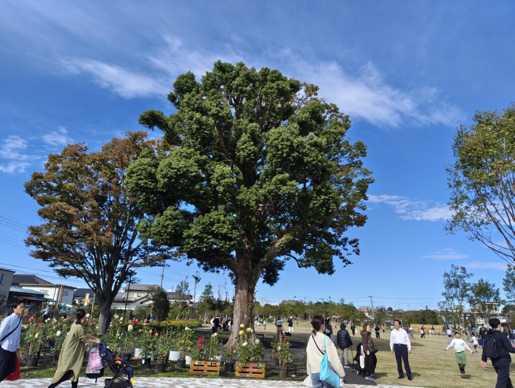 三室中央公園 （ヌゥパーク）で遊んできたよ【緑区】
