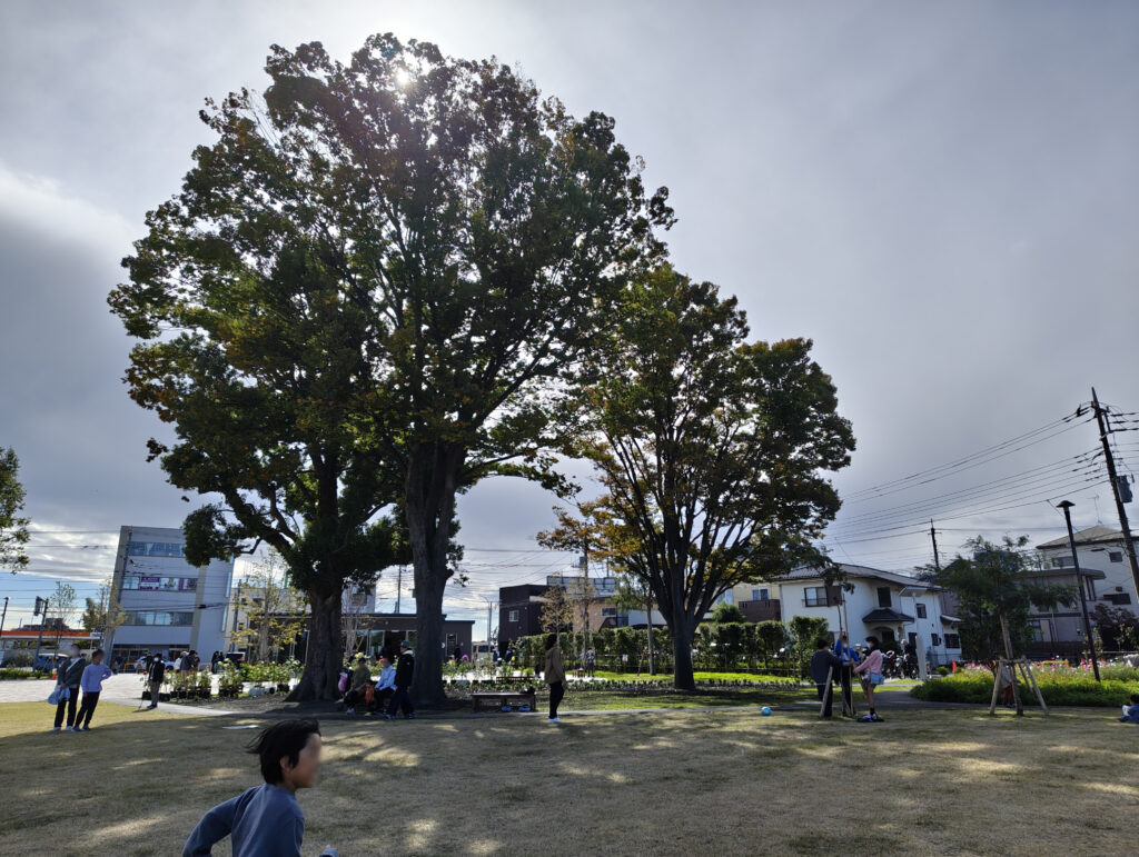 三室中央公園 （ヌゥパーク）で遊んできたよ【緑区】